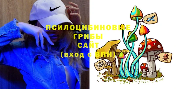 мдпв Белокуриха