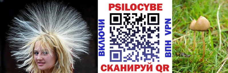 Псилоцибиновые грибы прущие грибы  Кольчугино 