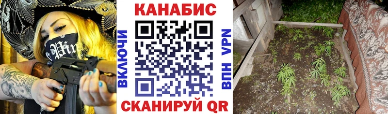 Каннабис VHQ  Кольчугино 
